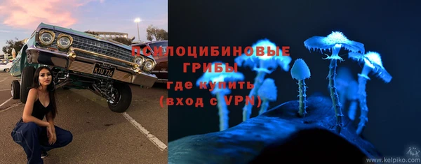 гашик Богданович