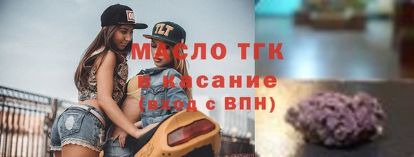 гашик Богданович