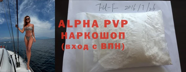 гашик Богданович