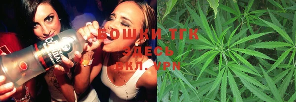 гашик Богданович