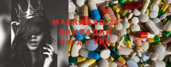 гашик Богданович