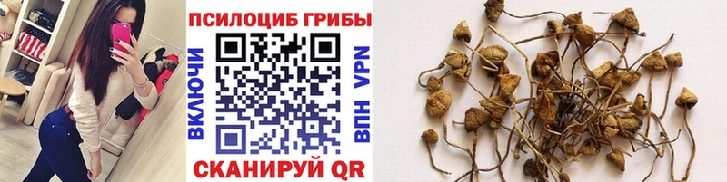 Псилоцибиновые грибы MAGIC MUSHROOMS  Жуковский 
